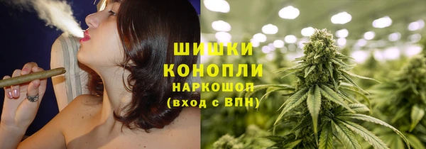 сатива Волосово