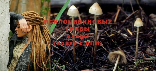 сатива Волосово