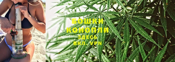 сатива Волосово