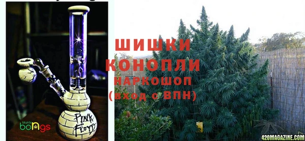 мяу мяу мука Волоколамск