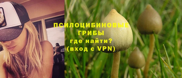 мяу мяу мука Волоколамск